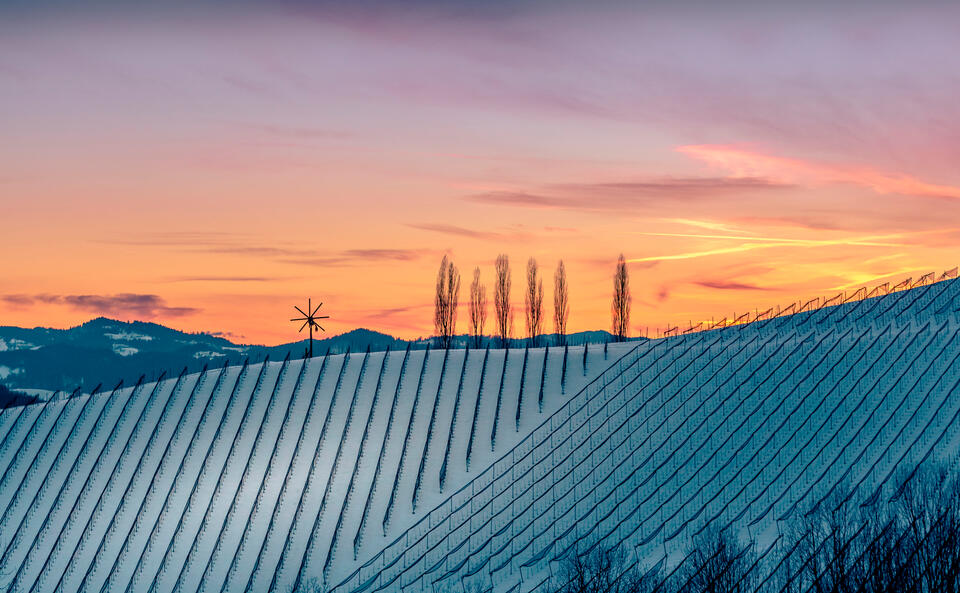 Südsteiermark: Wo die Ruhe den Ton angibt! 